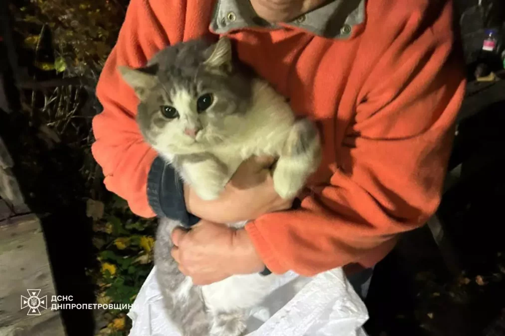 У Дніпровському районі рятувальники врятували кота, який упав у дев’ятиметровий колодязь - 9.11.2025