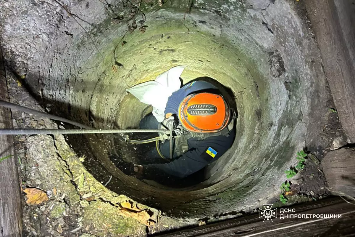 У Дніпровському районі рятувальники врятували кота, який упав у дев’ятиметровий колодязь - 9.11.2025