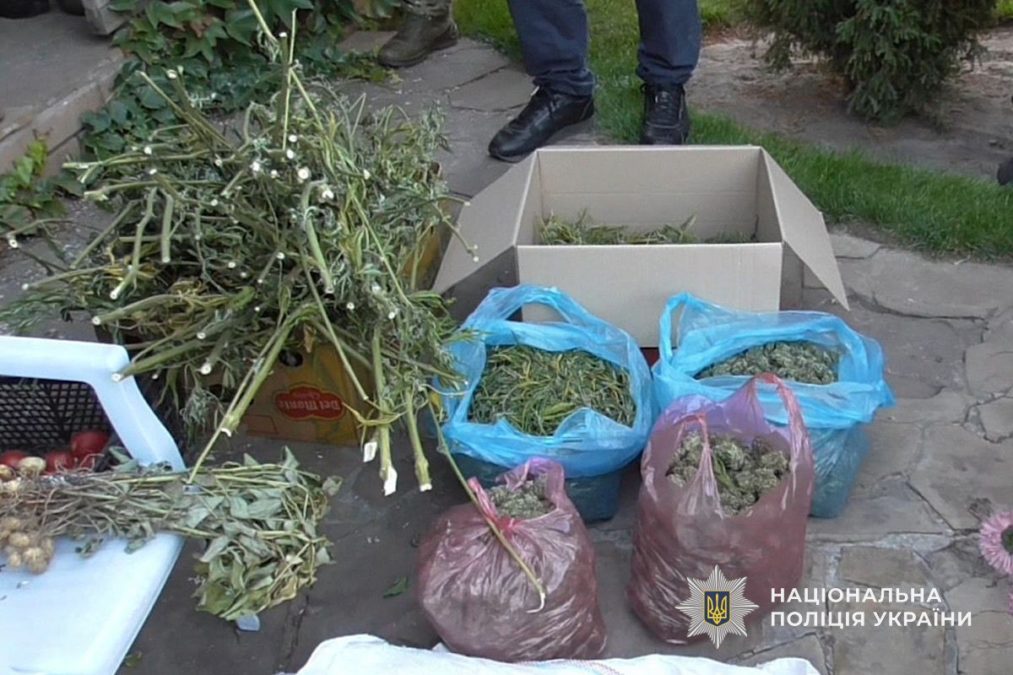 На дніпропетровщині чоловік Вирощував та зберігав наркотики-25.11.2025