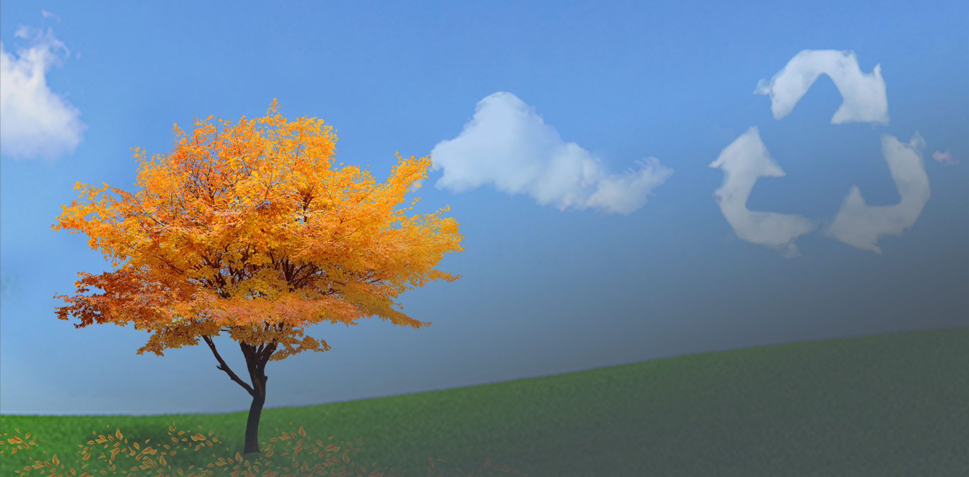 Провадження екологічних ініціатив на Дніпропетровщині: визначили лідерів серед громад