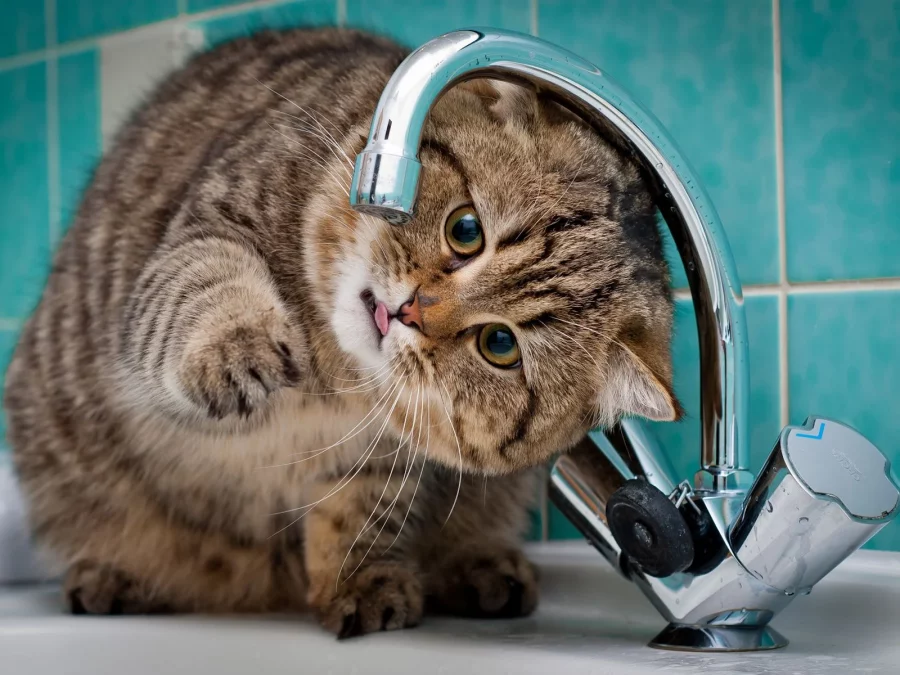 Завтра в Індустріальному районі Дніпра не буде води 27.11.2025