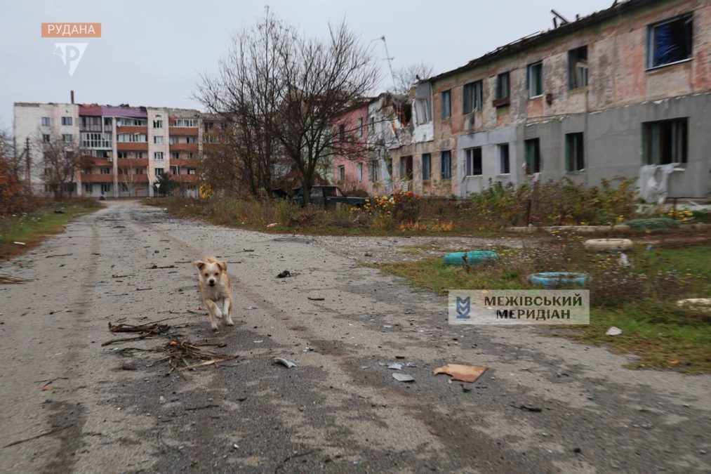 Щоденні обстріли Межової 12.11.2025