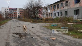 Щоденні обстріли Межової 12.11.2025