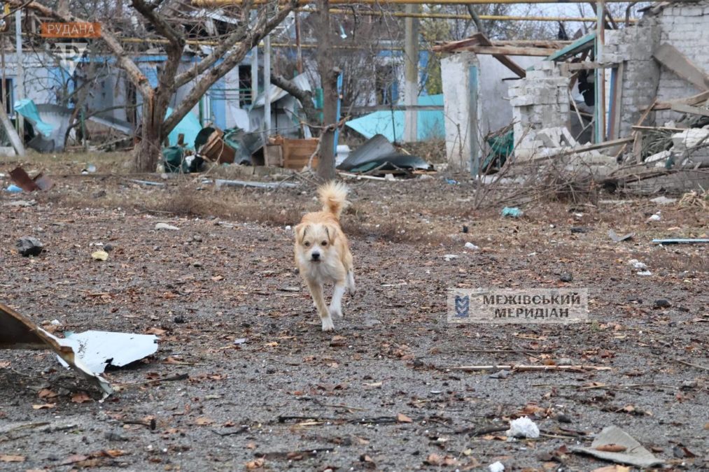 Щоденні обстріли Межової 12.11.2025