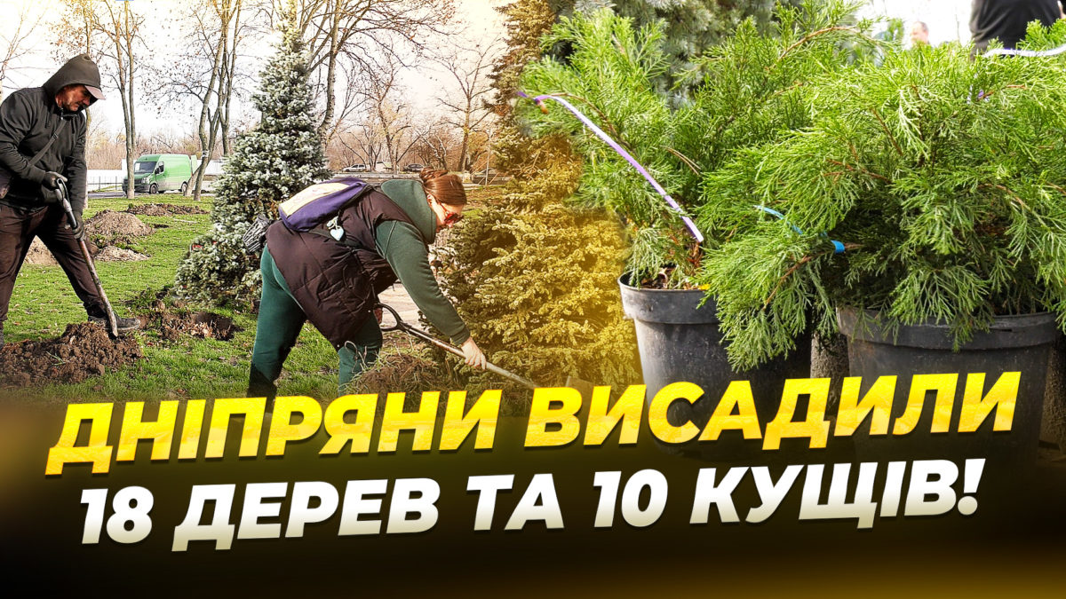Дніпро Квітучий: ініціатива, яка робить місто красивішим — 17.11.2025