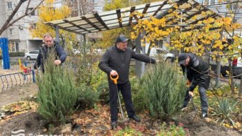 #Дніпро_чистий #Дніпро_квітучий: толоки в різних районах 3.11.2025