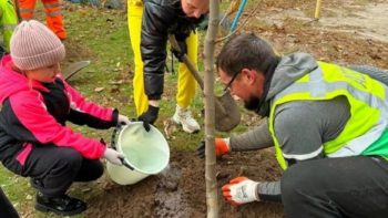 #Дніпро_чистий #Дніпро_квітучий: толоки в різних районах 3.11.2025