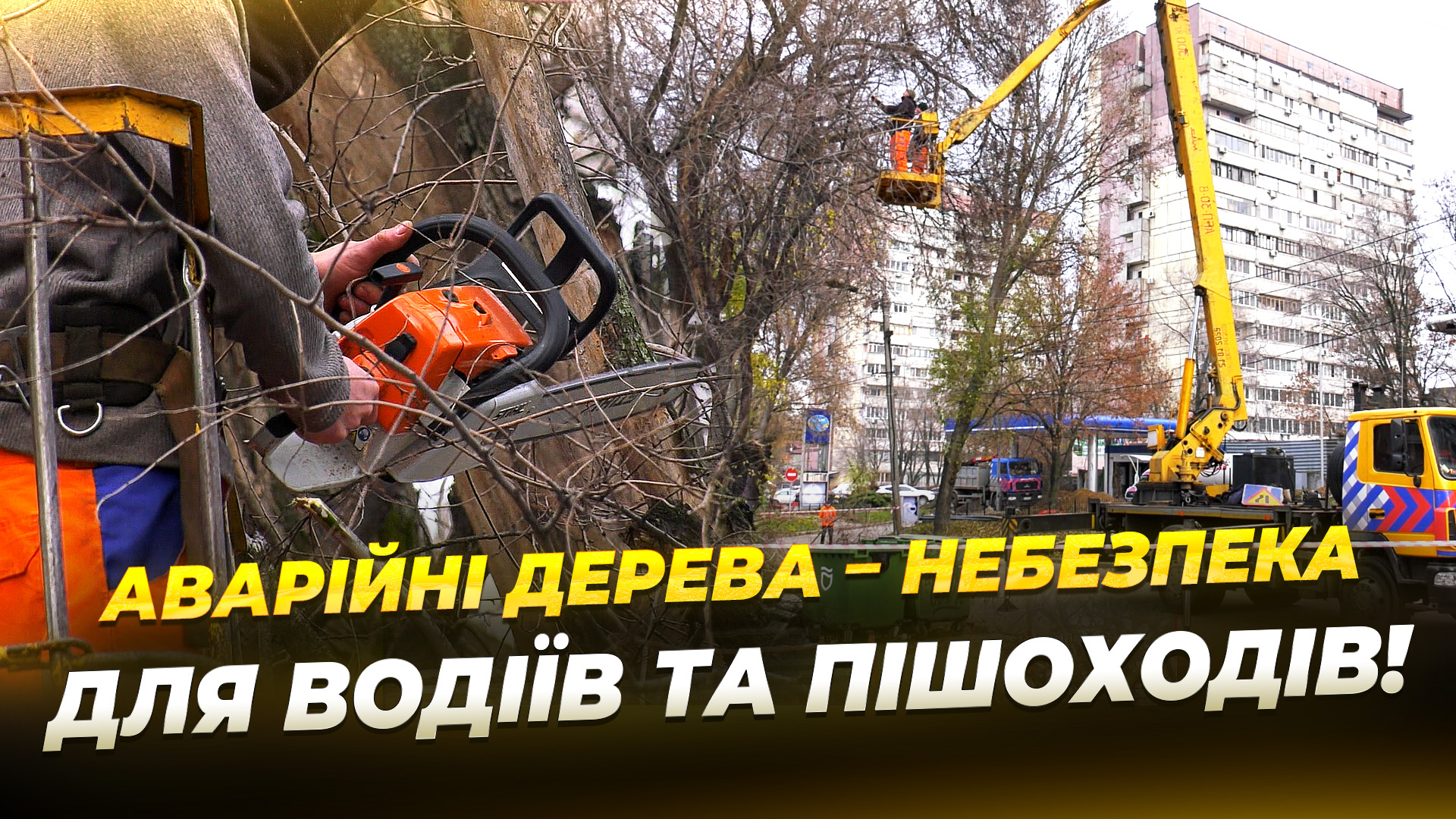 У Дніпрі за рік комунальники за запитом містян спиляли 3 аварійних дерева!