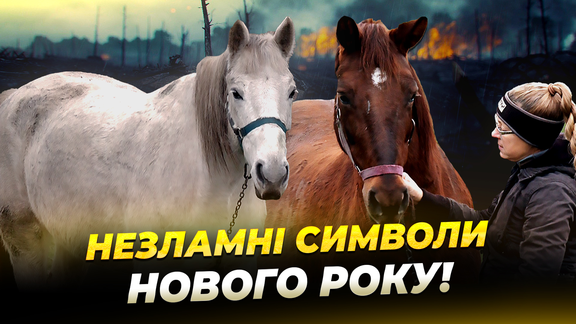 Конячки Афіна та Луна: як живуть на Дніпропетровщині після евакуації - 01.01.2026
