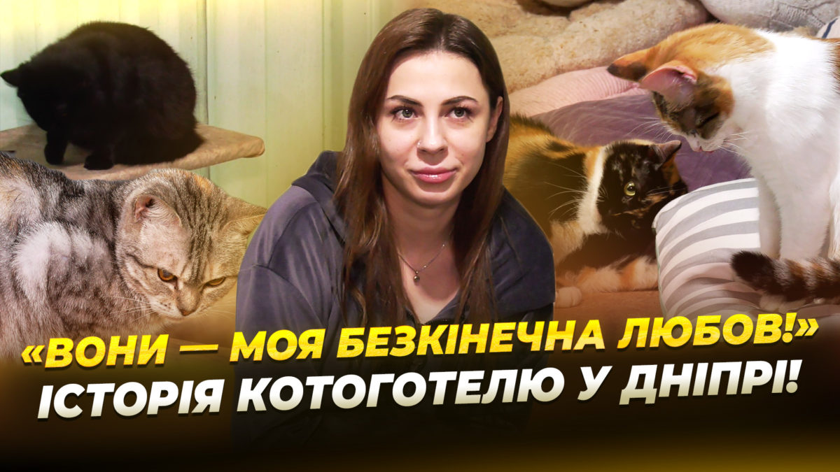 Дніпровська волонтерка Юлія створила котоготель для понад 50 котів - 24.12.2025