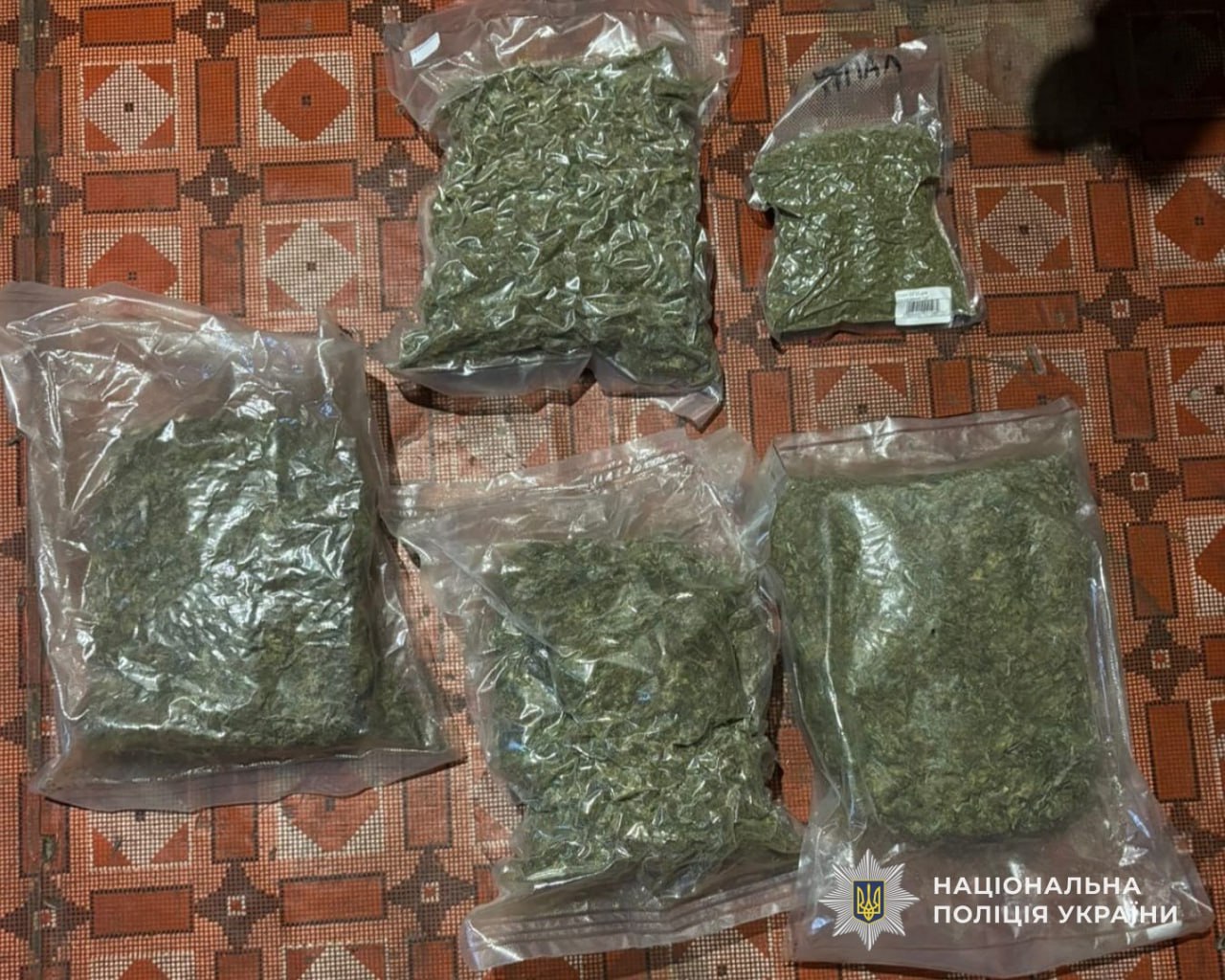 На Дніпропетровщині затримали чоловіка за зберігання понад 8 кг наркотиків - 01.12.2025
