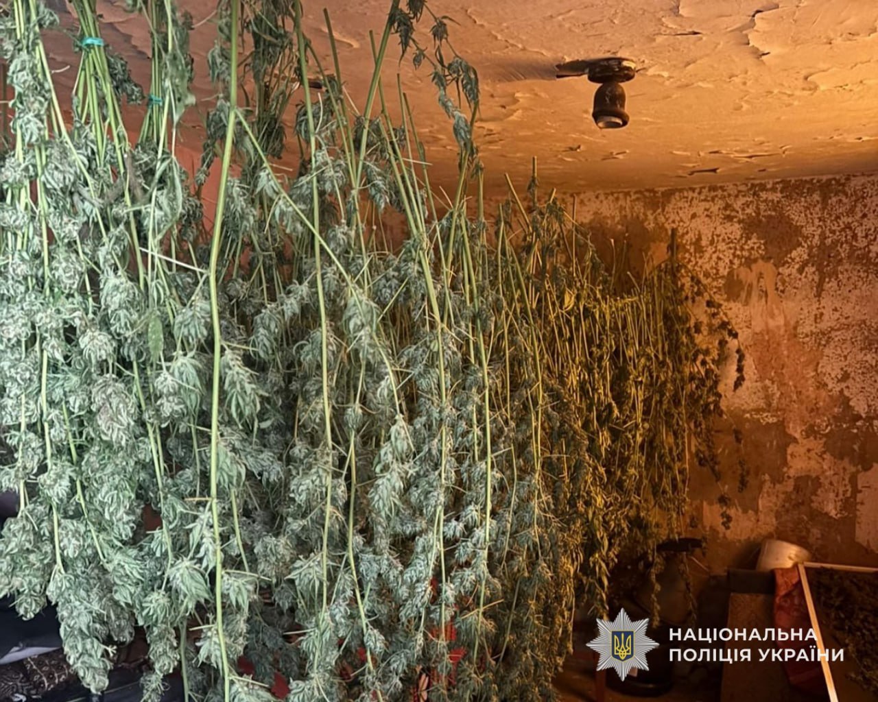 На Дніпропетровщині затримали чоловіка за зберігання понад 8 кг наркотиків - 01.12.2025