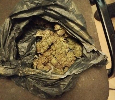 Виростив та зберігав наркотики: на Дніпропетровщині затримали чоловіка - 16.12.2025