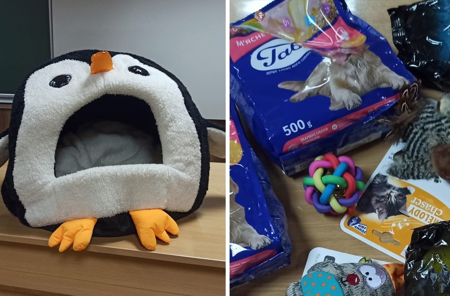 Дніпровські школярі допомогають безпритульним тваринам пережити зиму - 04.12.2025