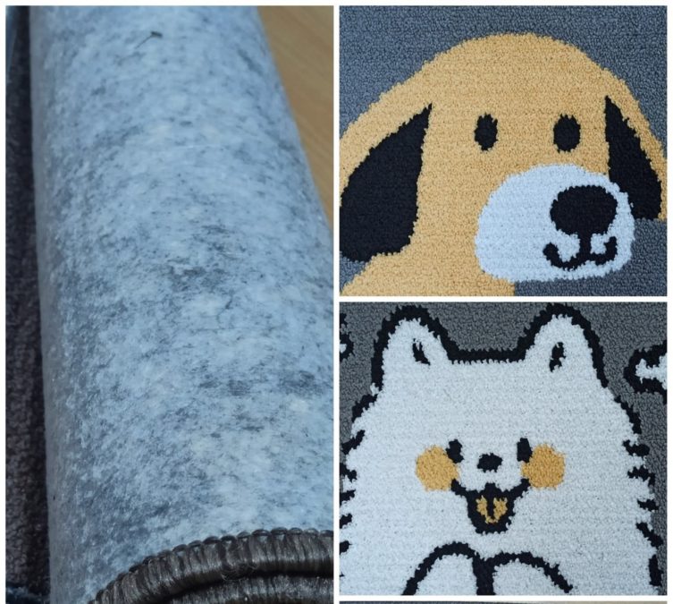 Дніпровські школярі допомогають безпритульним тваринам пережити зиму - 04.12.2025