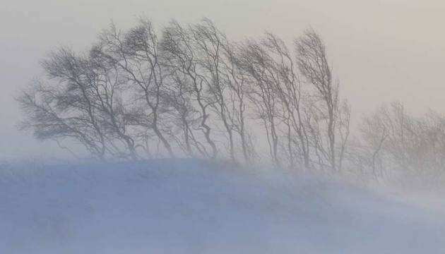 У Дніпрі та області 27 грудня прогнозують хуртовину й сильний вітер