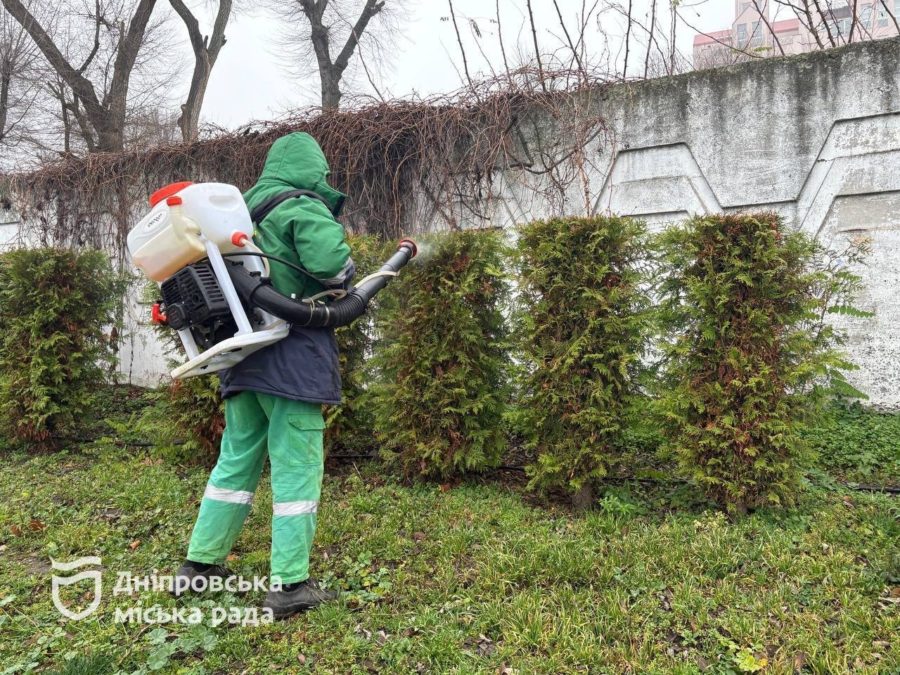 У парках, скверах Дніпра тривають планові сезонні роботи з упорядкування та догляду за зеленими насадженнями. -01.12.2025