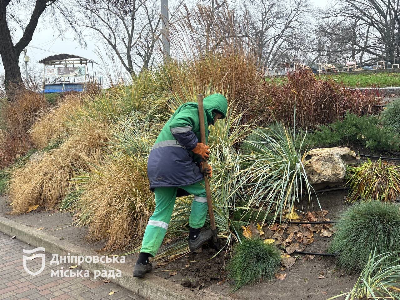 У парках, скверах Дніпра тривають планові сезонні роботи з упорядкування та догляду за зеленими насадженнями. -01.12.2025