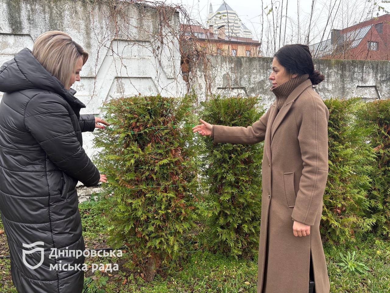 У парках, скверах Дніпра тривають планові сезонні роботи з упорядкування та догляду за зеленими насадженнями. -01.12.2025