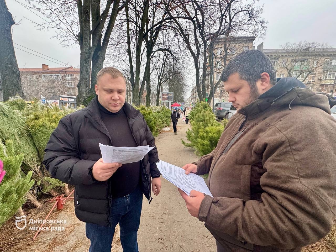 У Дніпрі почали працювати ялинкові базари, де мешканці можуть придбати легальні новорічні дерева. -03.12.2025