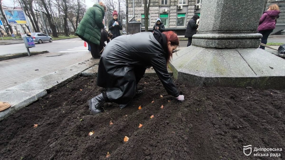 Студенти релокованого з Маріуполя до Дніпра університету висадили у місті алею тюльпанів - 12.12.2025