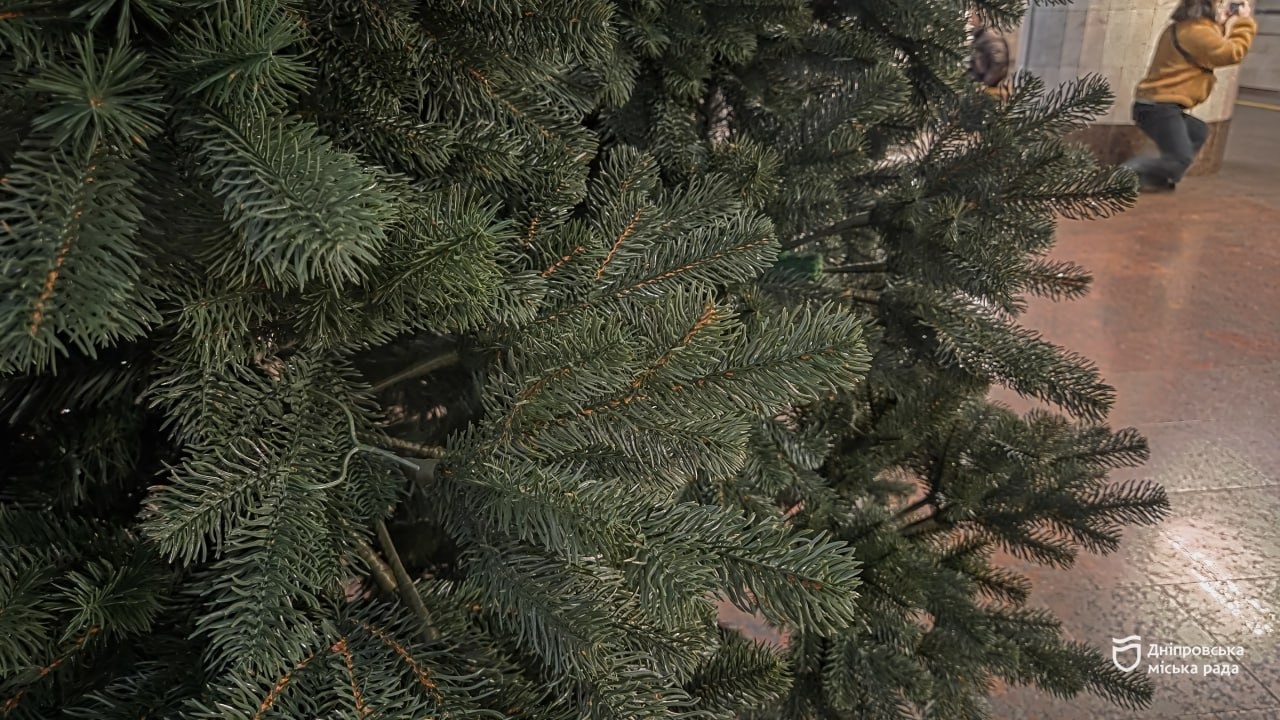 У Дніпрі встановлюють головну безпечну ялинку - 20.12.2025