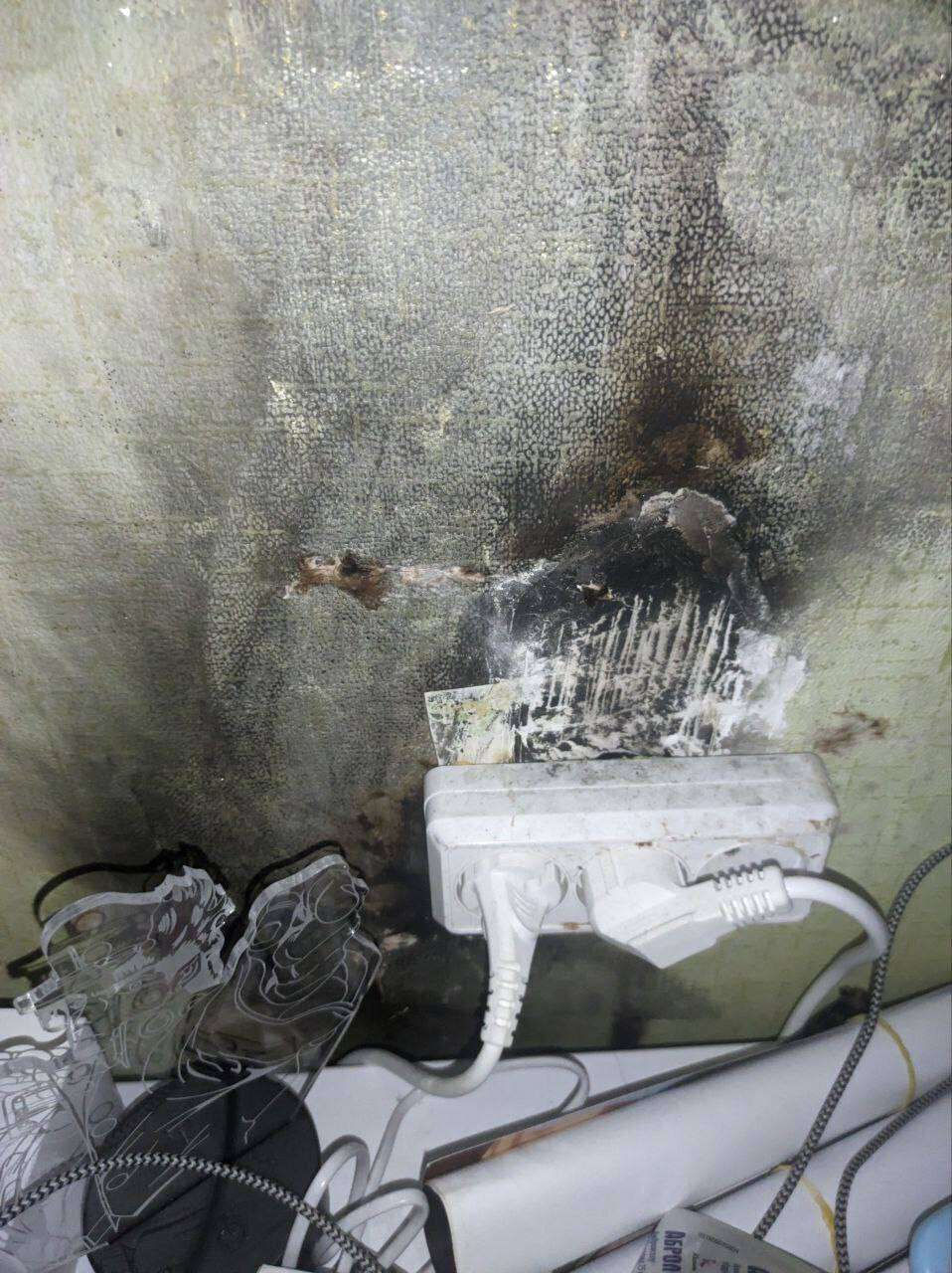 Таргани, пліснява, грибок та відсутність електрики: як студенти виживають у гуртожитку ДНУ