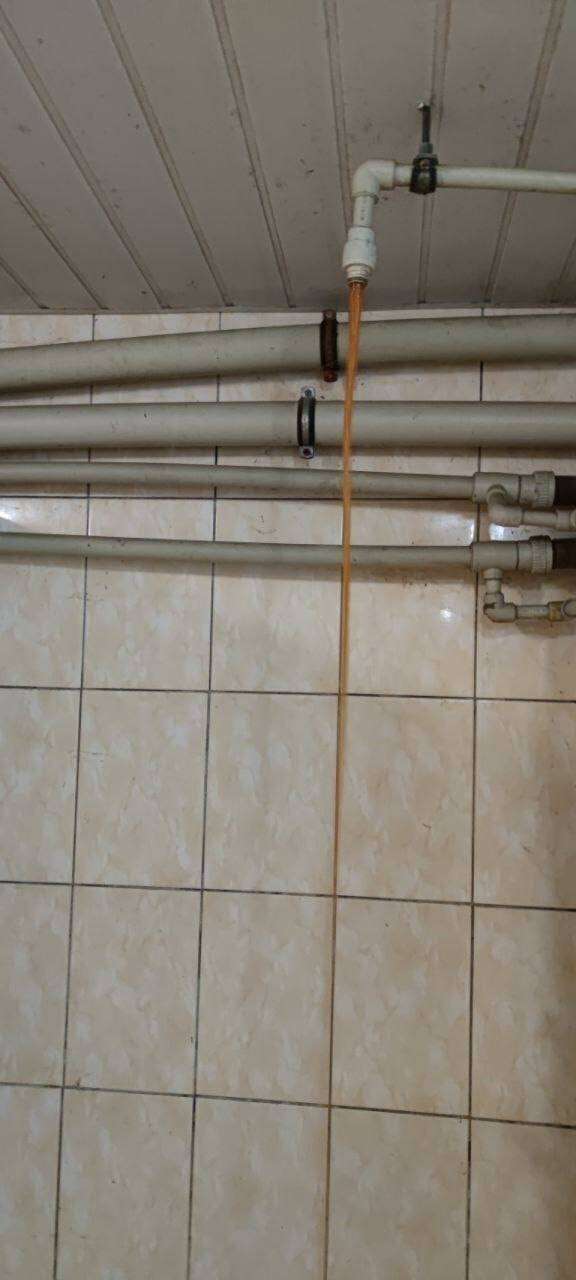 Таргани, пліснява, грибок та відсутність електрики: як студенти виживають у гуртожитку ДНУ