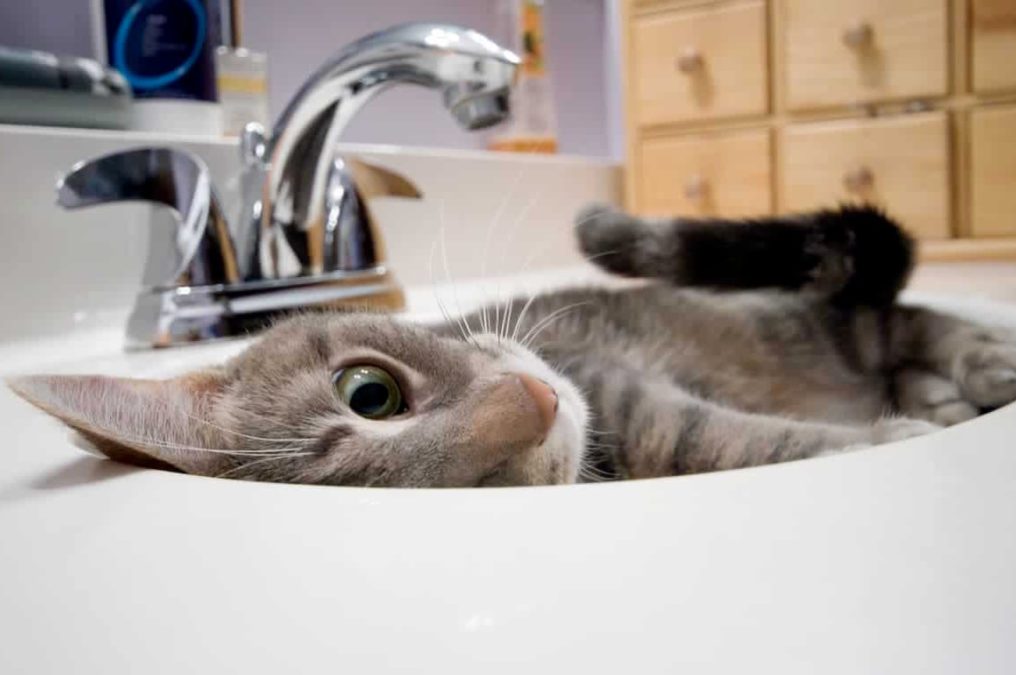 У Дніпрі обмежать водопостачання боржникам - 07.12.2025