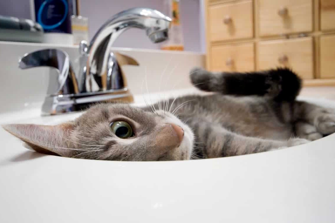 У Дніпрі обмежать водопостачання боржникам - 07.12.2025