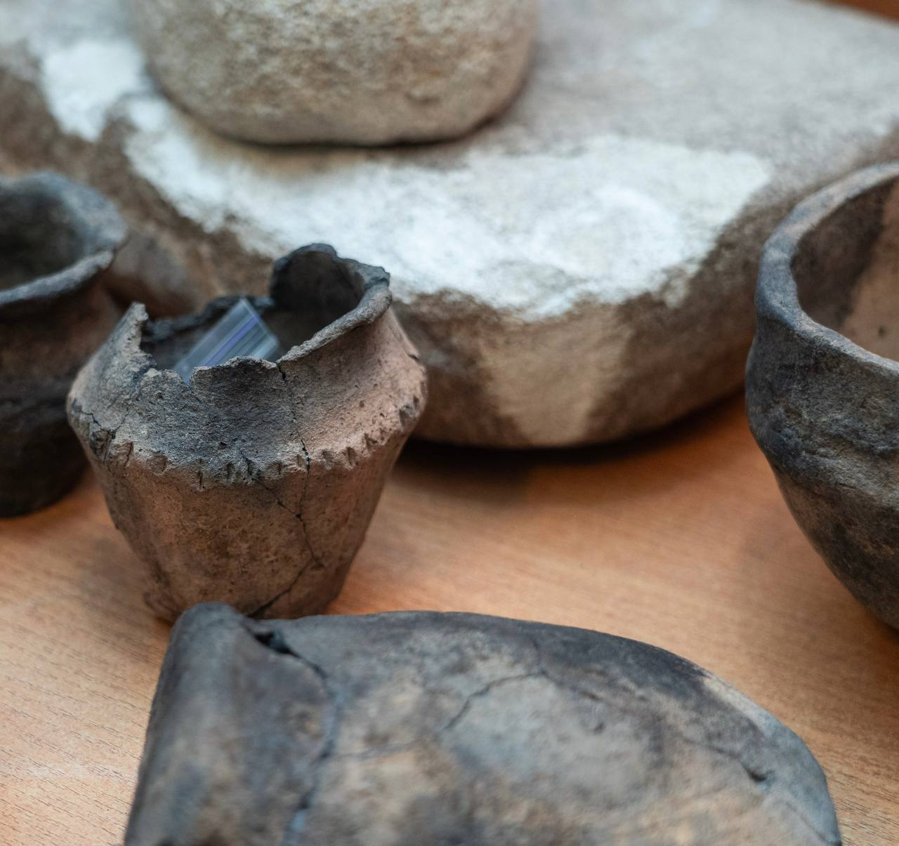 Археологи знайшли на Синельниківщині унікальний курган, якому приблизно 5 тисяч років - 14.12.2025