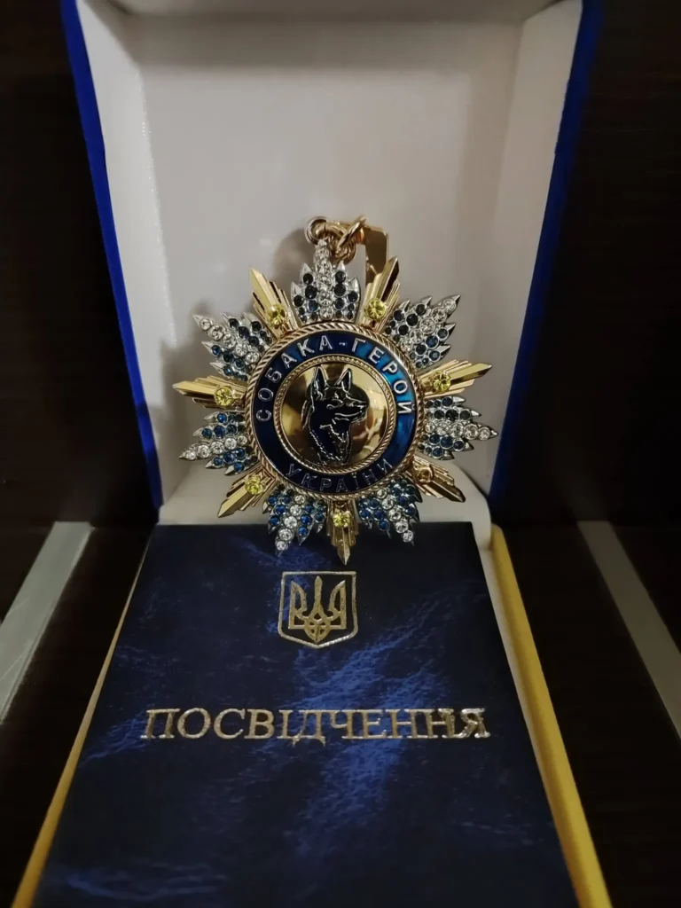 Собака Спаркі з Павлограда, учасниця Павлоградського пошуково-рятувального кінологічного загону «Антарєс», отримала орден авторського проєкту «Собака – герой України» - 21.12.2025