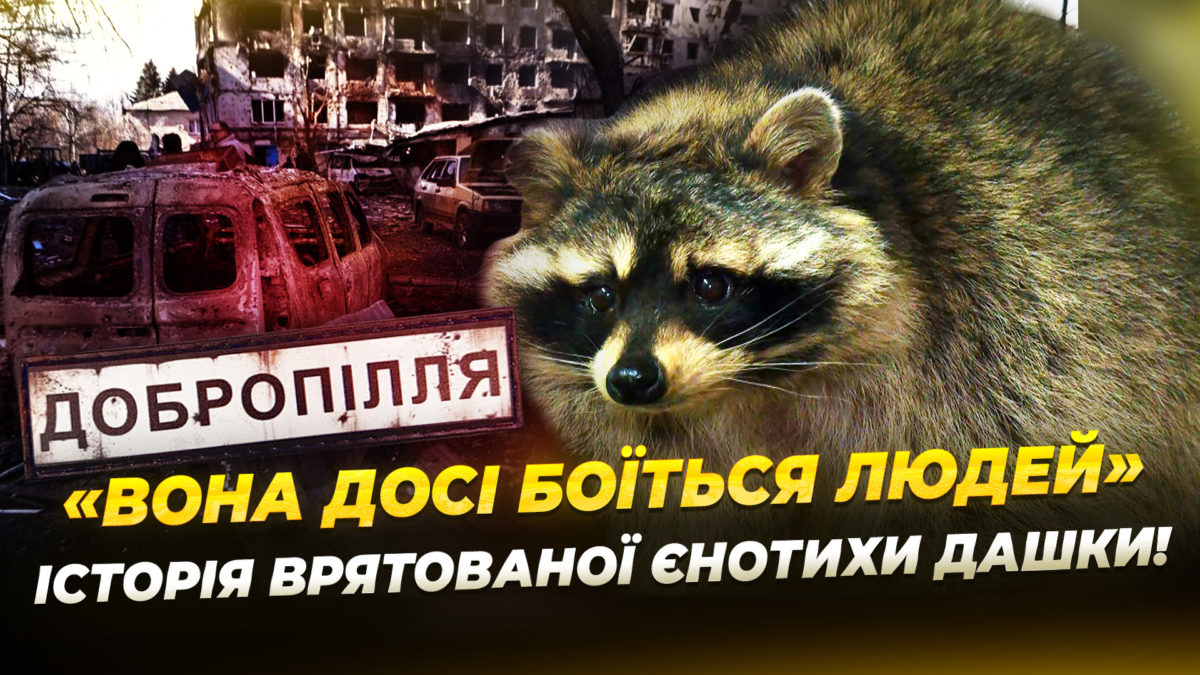 З Донеччини до Дніпра: як проходить реабілітація евакуйованої єнотиха - 13.01.2026