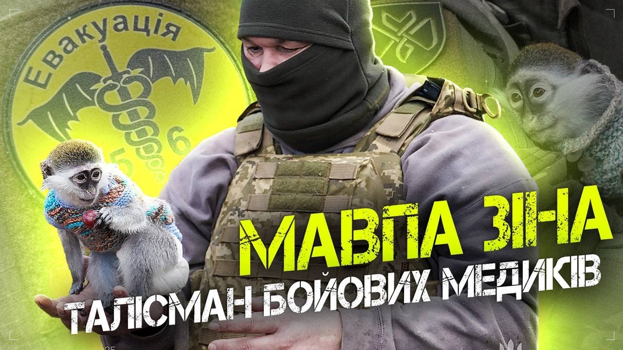 Мавпа Зіна талісман бойових медиків