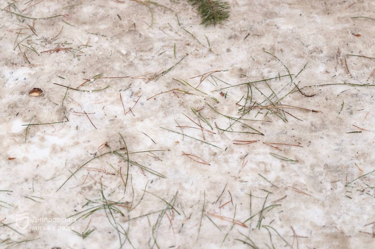 Ялинкові ринки Дніпра: перевірка та прибирання залишків дерев - 02.01.2026