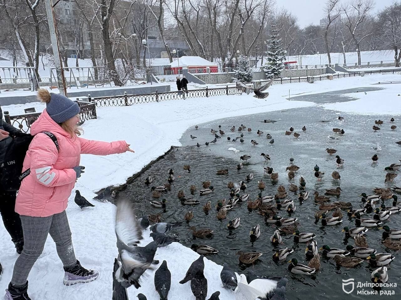 Чим годувати птахів і тварин взимку у парках та скверах Дніпра - 15.01.2026