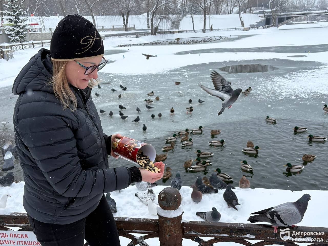 Чим годувати птахів і тварин взимку у парках та скверах Дніпра - 15.01.2026