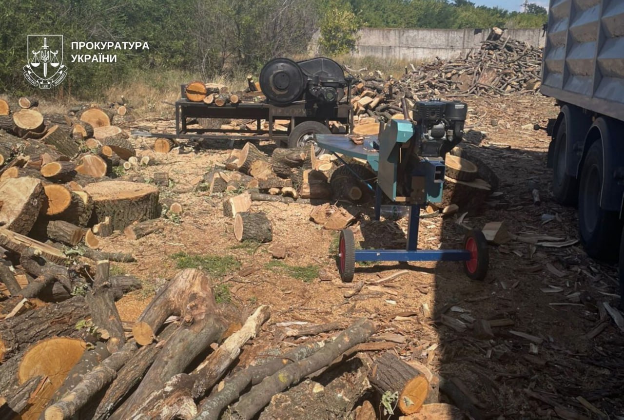 Понад 21 млн гривень збитків довкіллю: на Дніпропетровщині судитимуть організовану групу за незаконну вирубку лісу - 16.01.2026