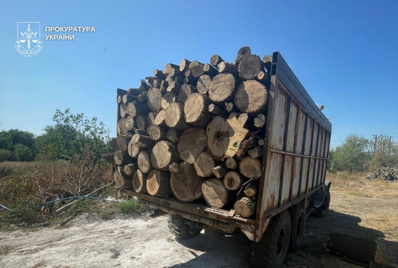 Понад 21 млн гривень збитків довкіллю: на Дніпропетровщині судитимуть організовану групу за незаконну вирубку лісу - 16.01.2026