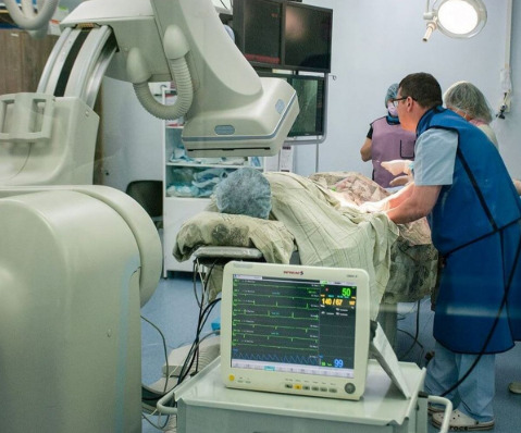 Нові операційні, центри ментального здоров'я, трансплантація та реабілітація: як лікарні Дніпра тримають тил - 19.01.2026