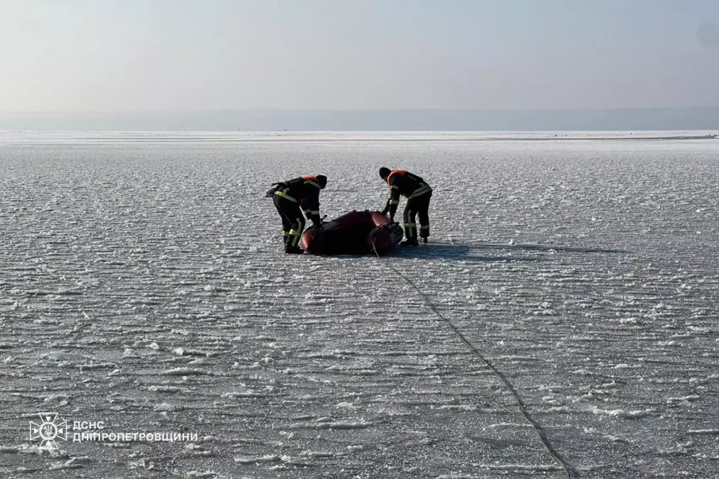 У Кам’янському надзвичайники врятували лебедя, примерзлого до криги - 12.01.2026