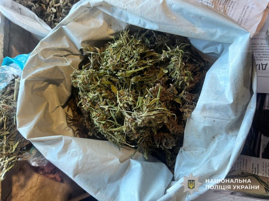 У Нікополі викрили чоловіка на незаконному зберіганні канабісу - 24.02.2026