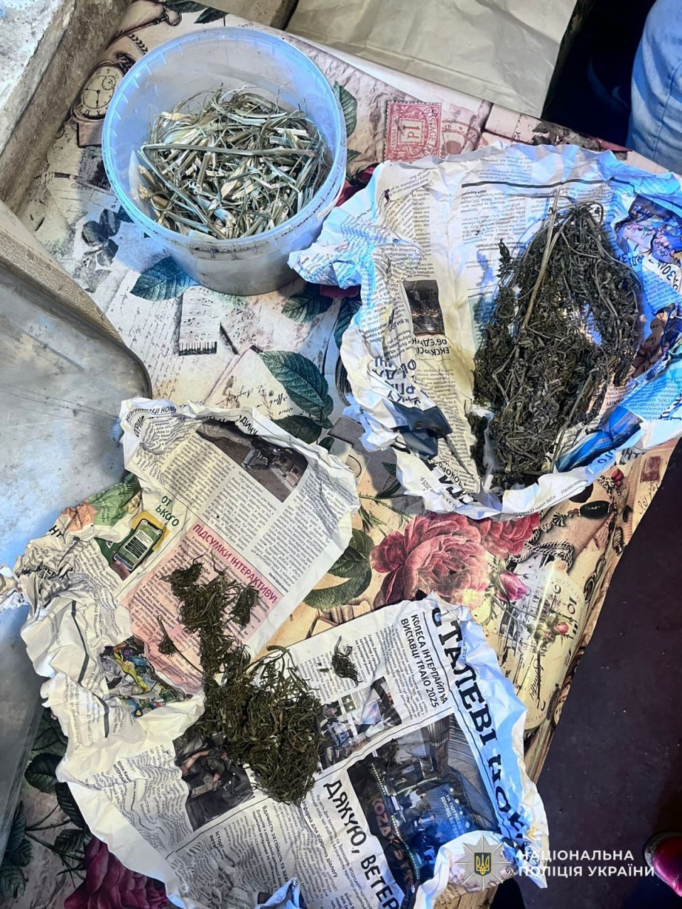 У Нікополі викрили чоловіка на незаконному зберіганні канабісу - 24.02.2026