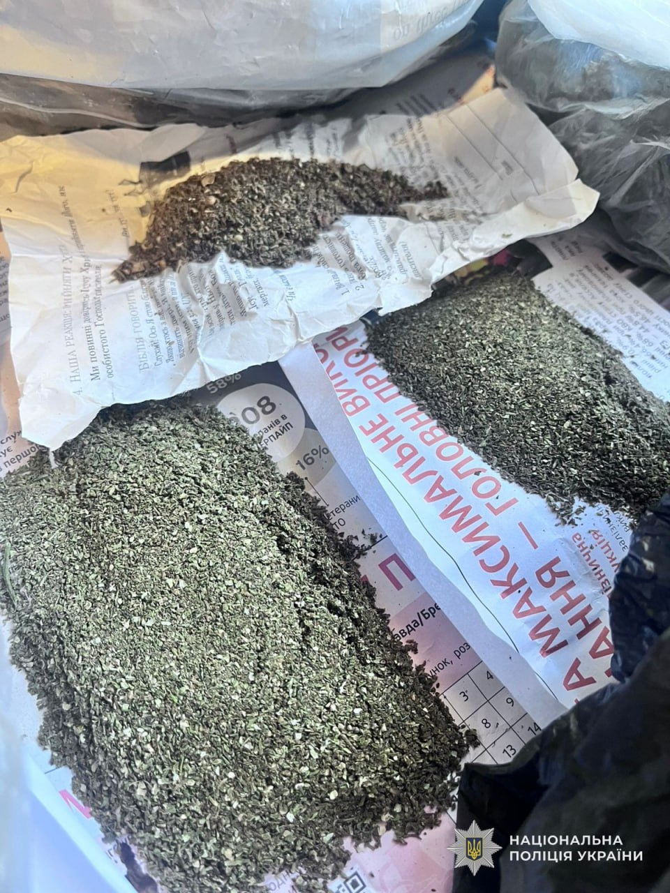 У Нікополі викрили чоловіка на незаконному зберіганні канабісу - 24.02.2026
