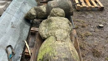 5 половецьких баб вивезли з Васильківки до Дніпра 15.02.2026 - 17.02.2026