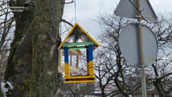 GREEN-ED. Зелена освіта Дніпра — встановлення годівничок на територіях закладів освіти