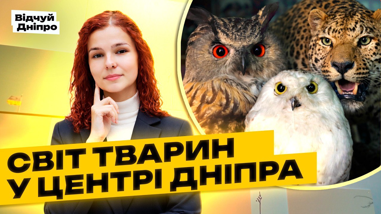 photo 2026 02 20 21 34 27