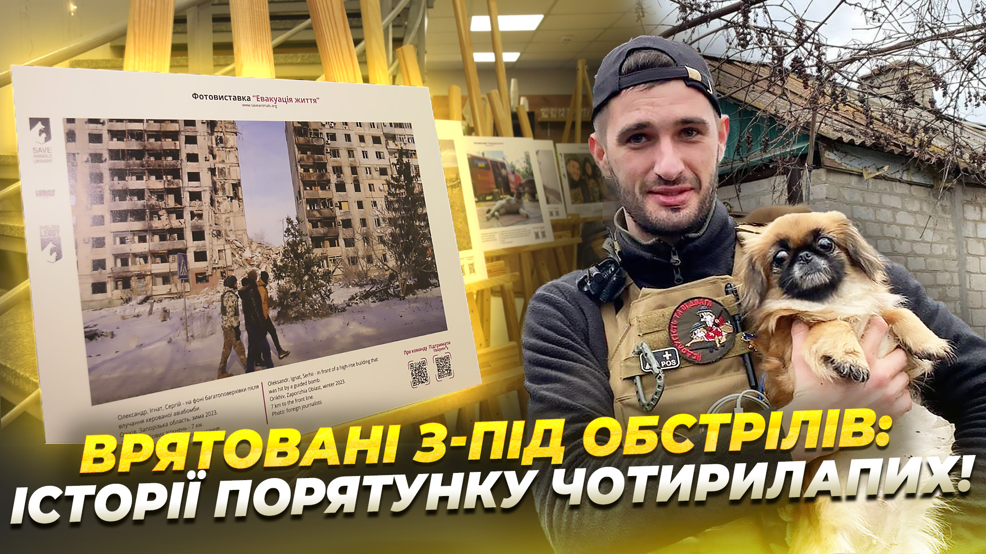 У Дніпрі презентували фотовиставку присвячену порятунку тварин із прифронтових територій України - 03.02.2026