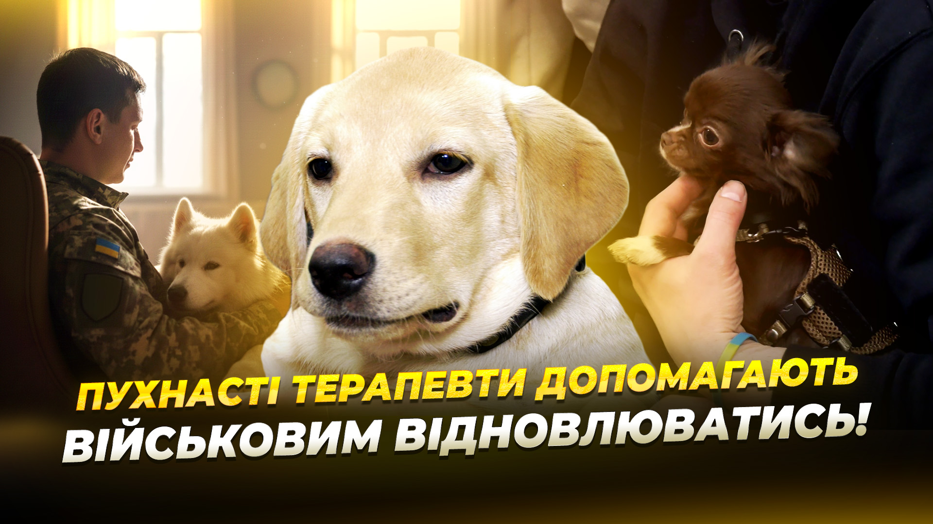 Собаки терапевти у реабілітаційному центрі Дніпра допомагають військовим відновлюватися після поранень