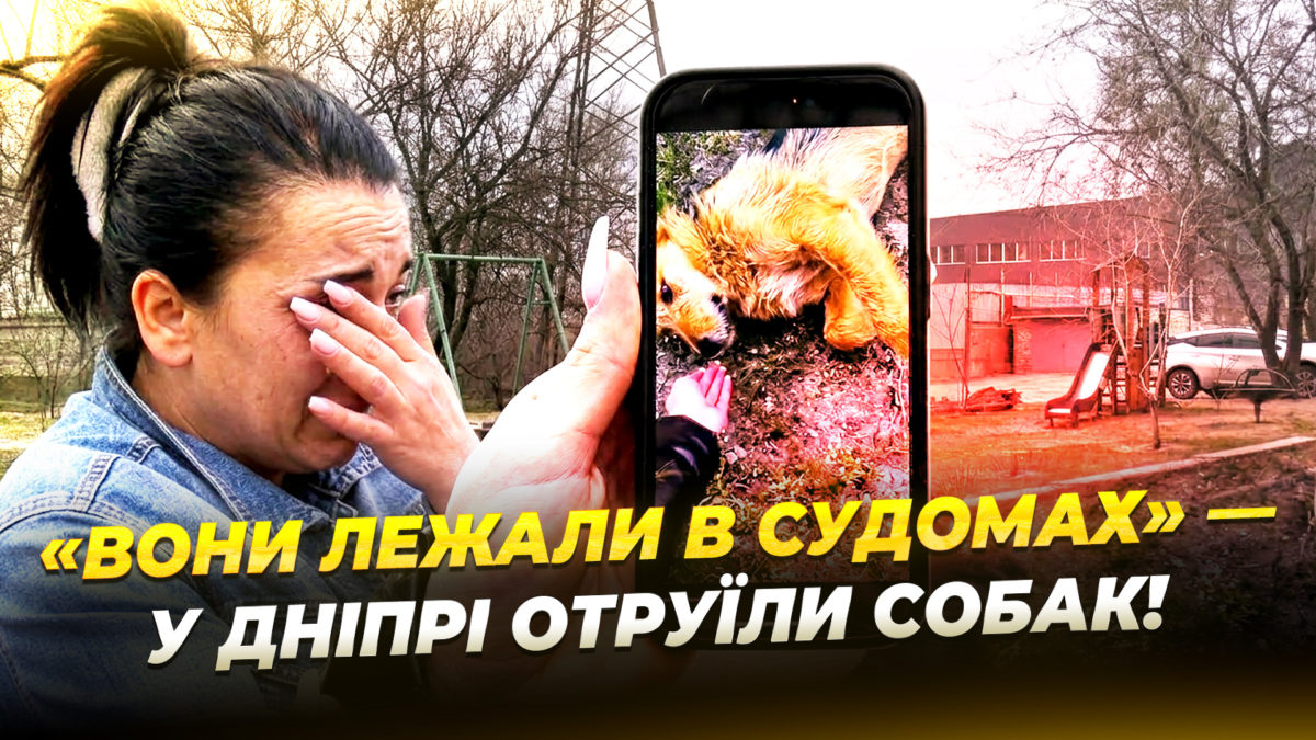 На Північному у Дніпрі догхантери труять собак - 18.03.2026